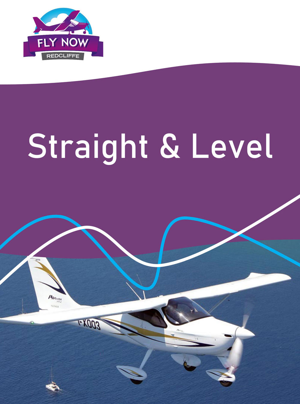 Straight And Level Briefing Notes